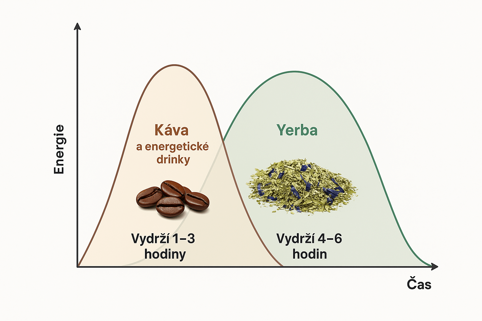 Rozdíl mezi kávou a Yerba Mate